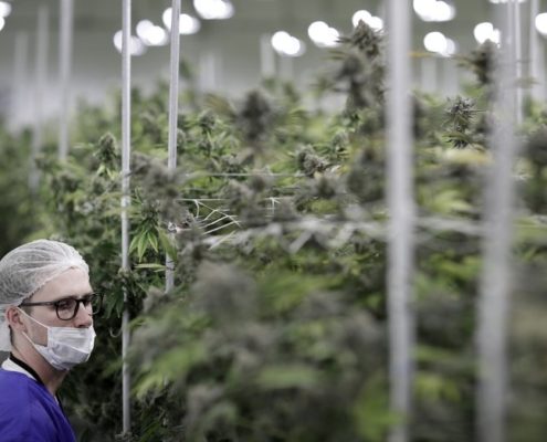 Nevada launches recretional marijuana