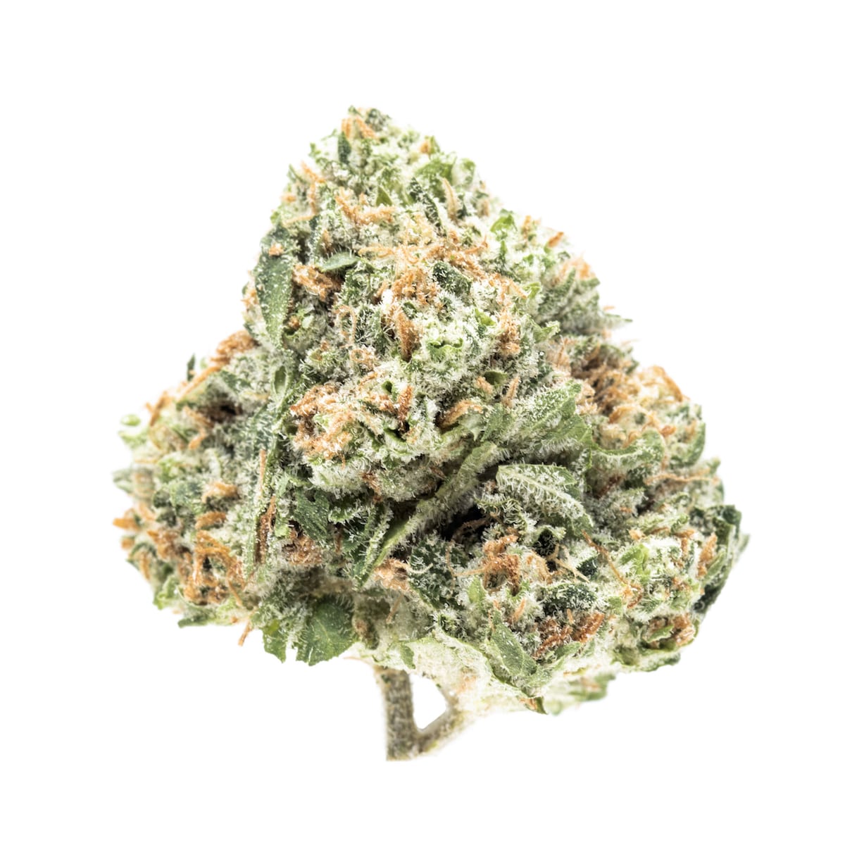 Goji OG Seeds Cannabis Review