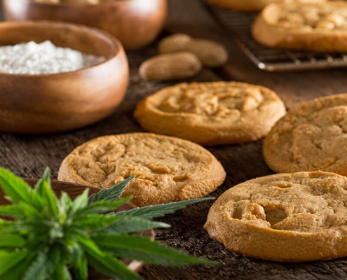 cannabis 101 cannabis cookies