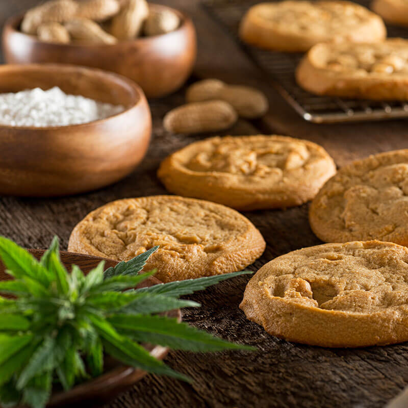 cannabis 101 cannabis cookies