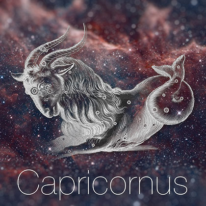 Zodiac Sign Capricornus