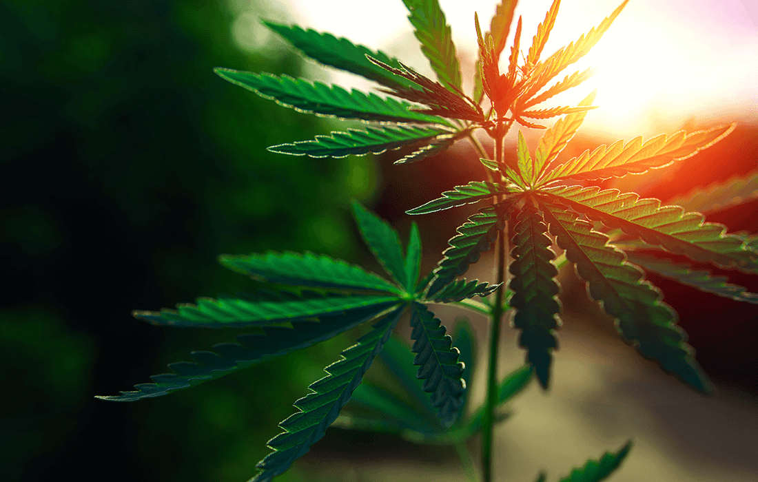 6 Creative Ways to Enhance Your Cannabis Experience