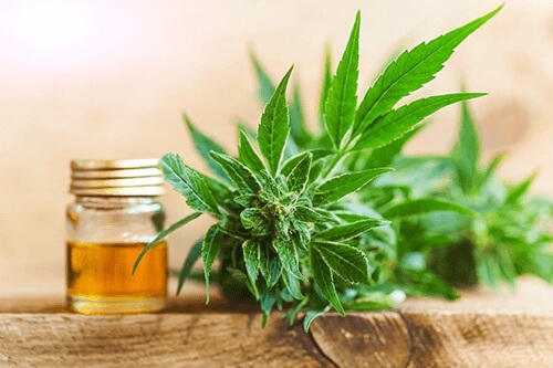 How CBD and Omega Work Together