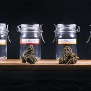 Jars of different cannabis