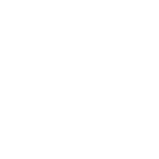 RISE Rewards